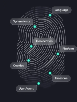 Biometric Fingerprint Parameters